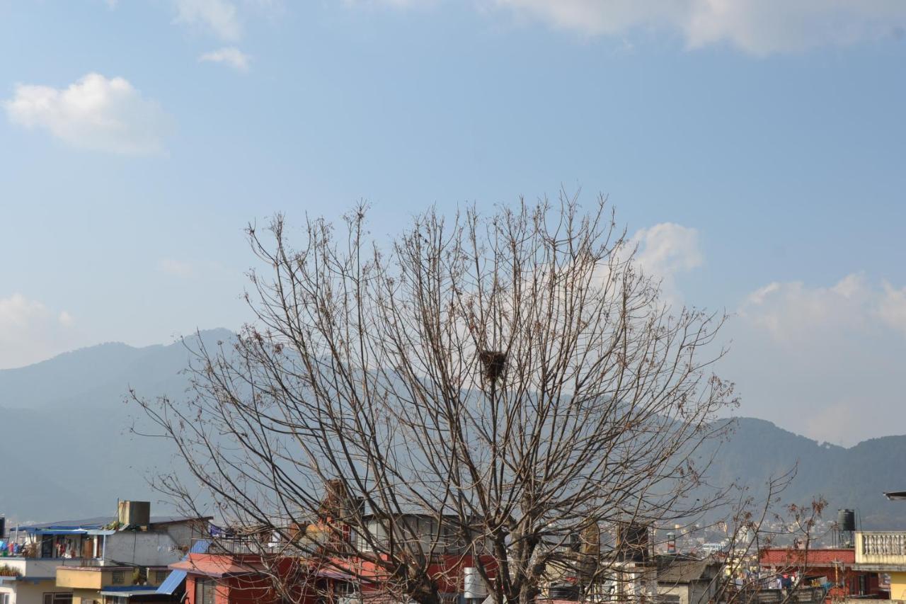 Fireflies Hostel Kathmandu Ngoại thất bức ảnh